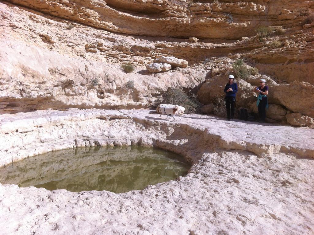 Gavanromi Desert Home Midreshet Ben Gurion Buitenkant foto